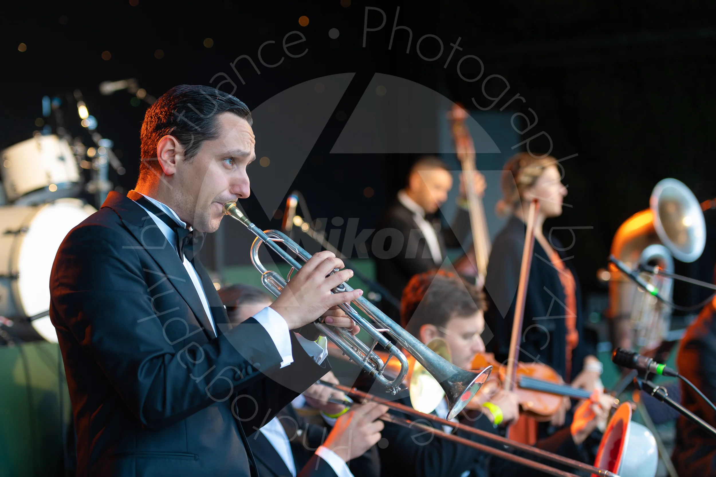 Twinwood Festival 2018 #1676