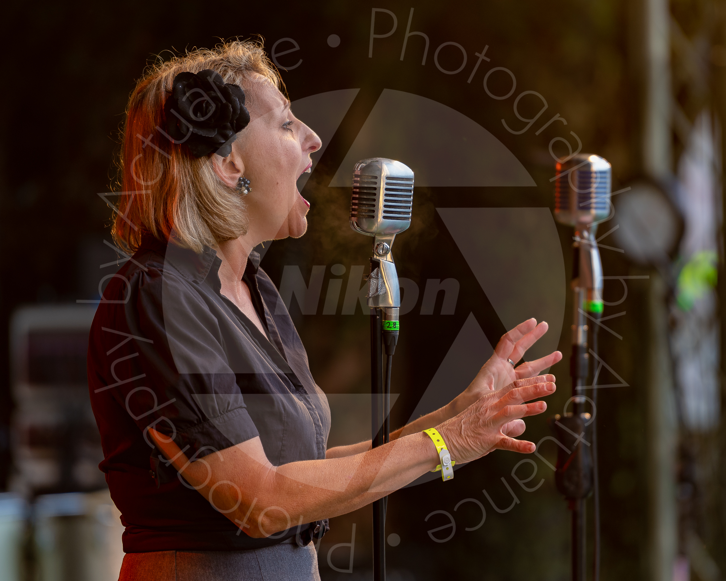 Twinwood Festival 2018 #1872