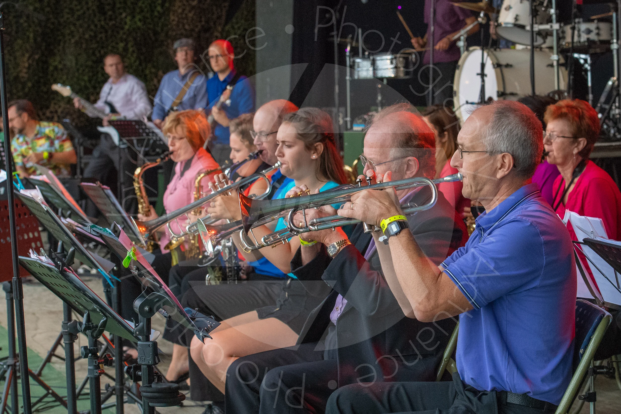 Twinwood Festival 2018 #2907