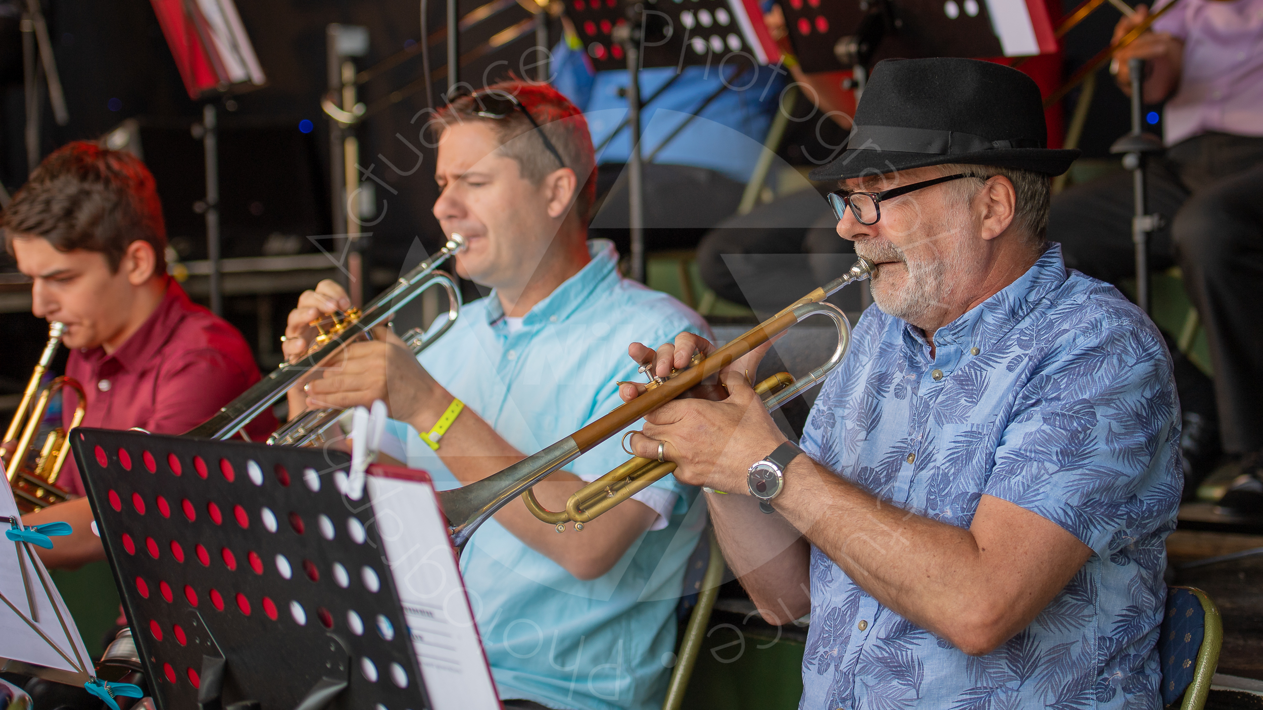 Twinwood Festival 2018 #2980