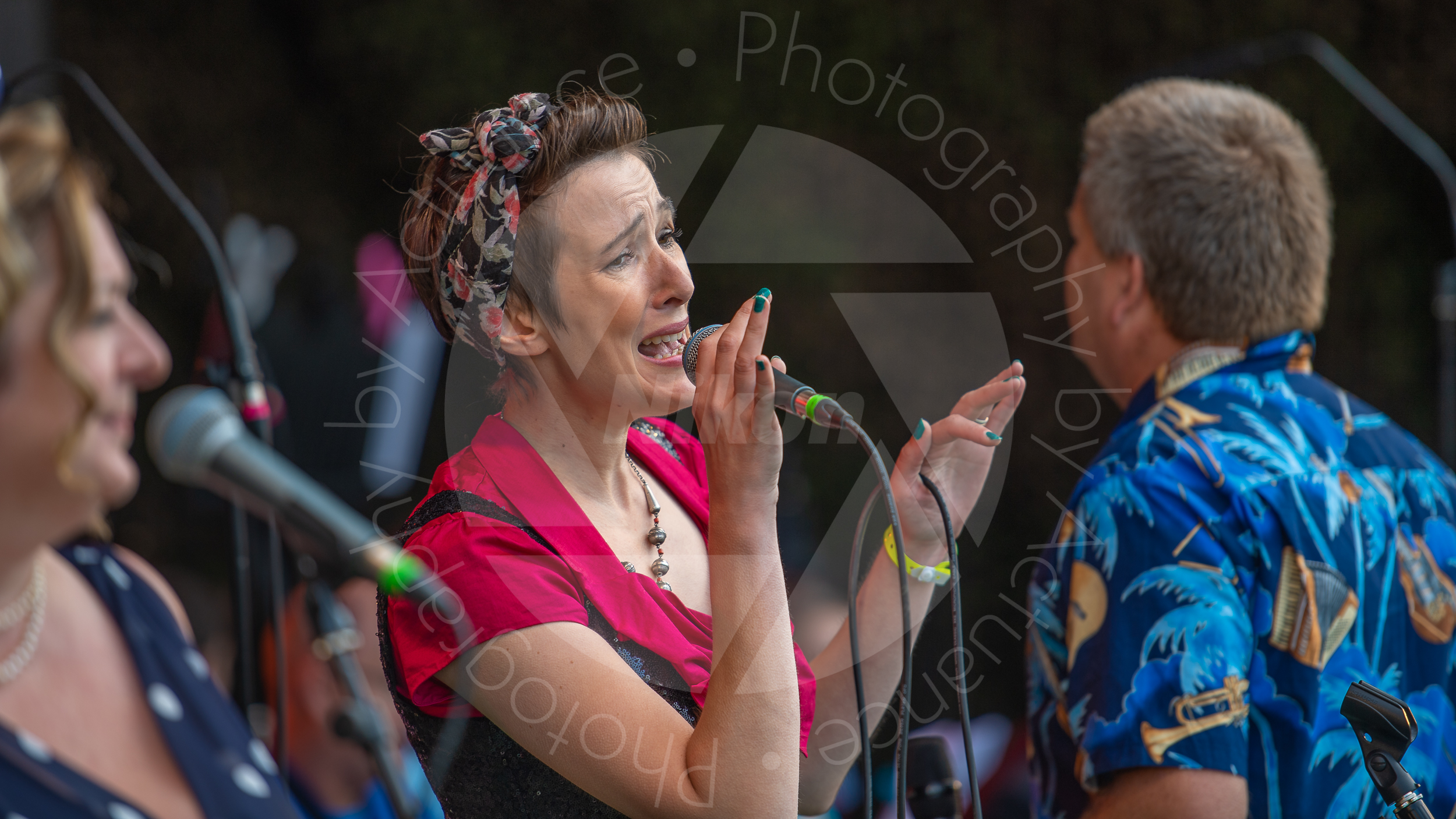 Twinwood Festival 2018 #3069