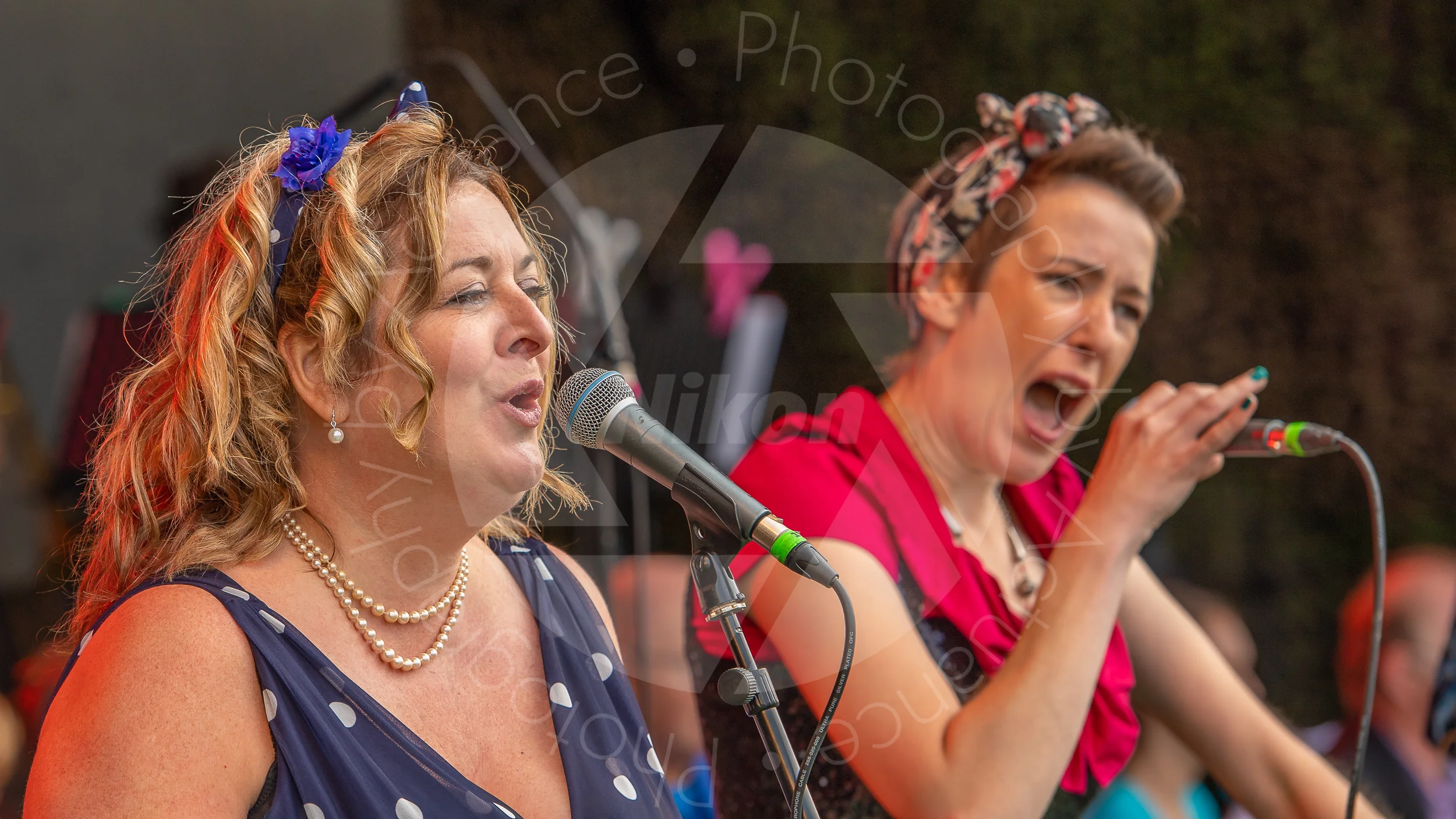 Twinwood Festival 2018 #3080