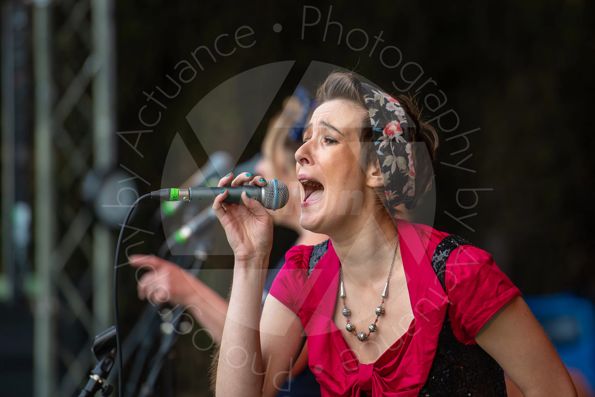 Twinwood Festival 2018 #3091
