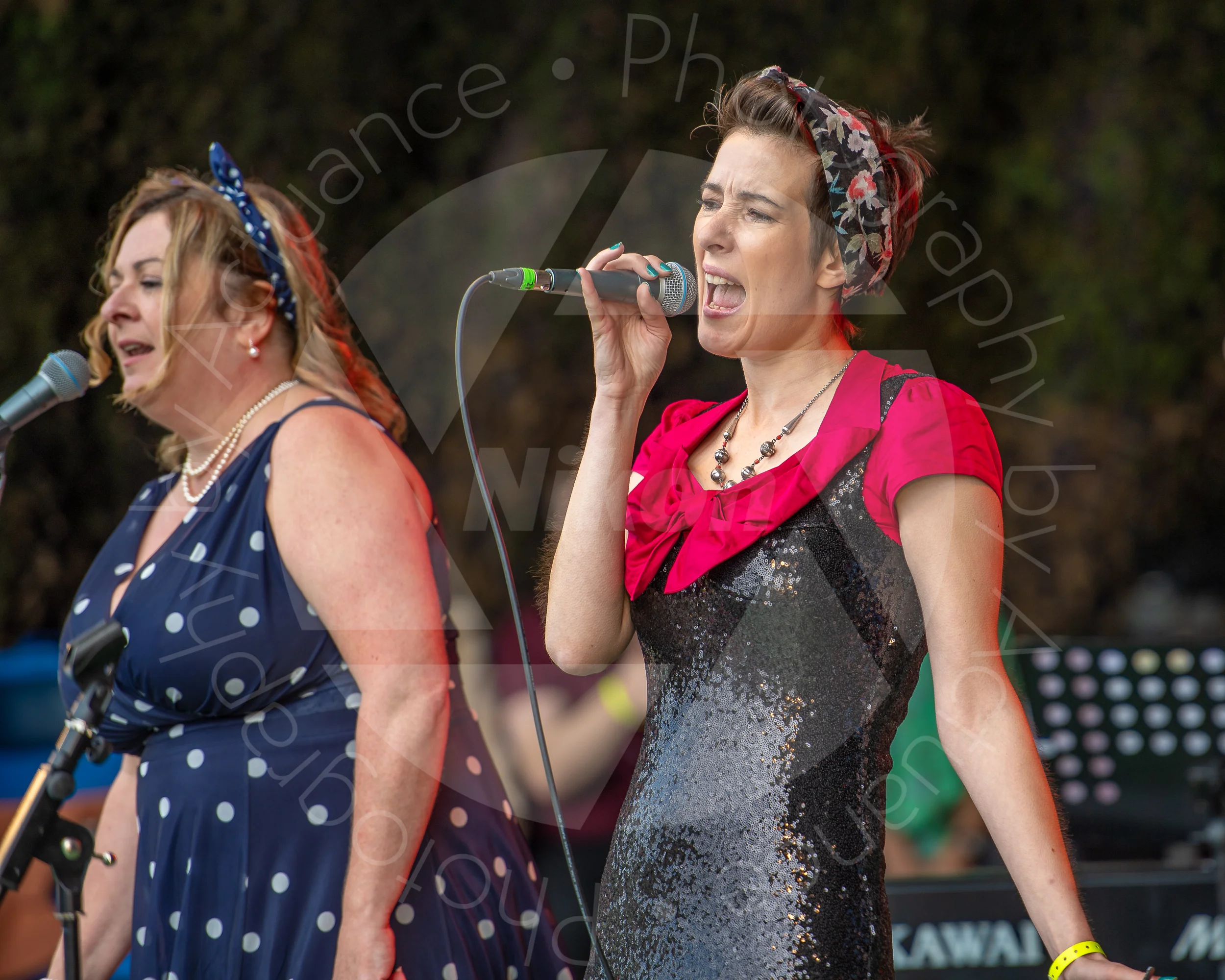 Twinwood Festival 2018 #3098