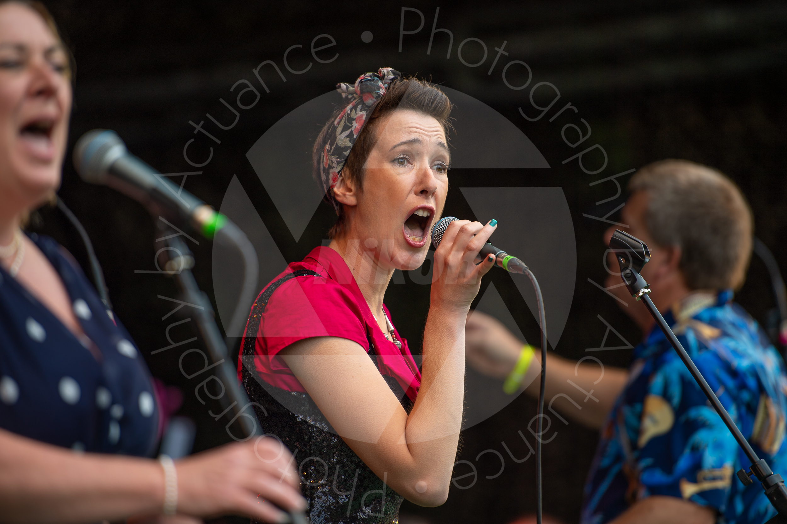 Twinwood Festival 2018 #3140