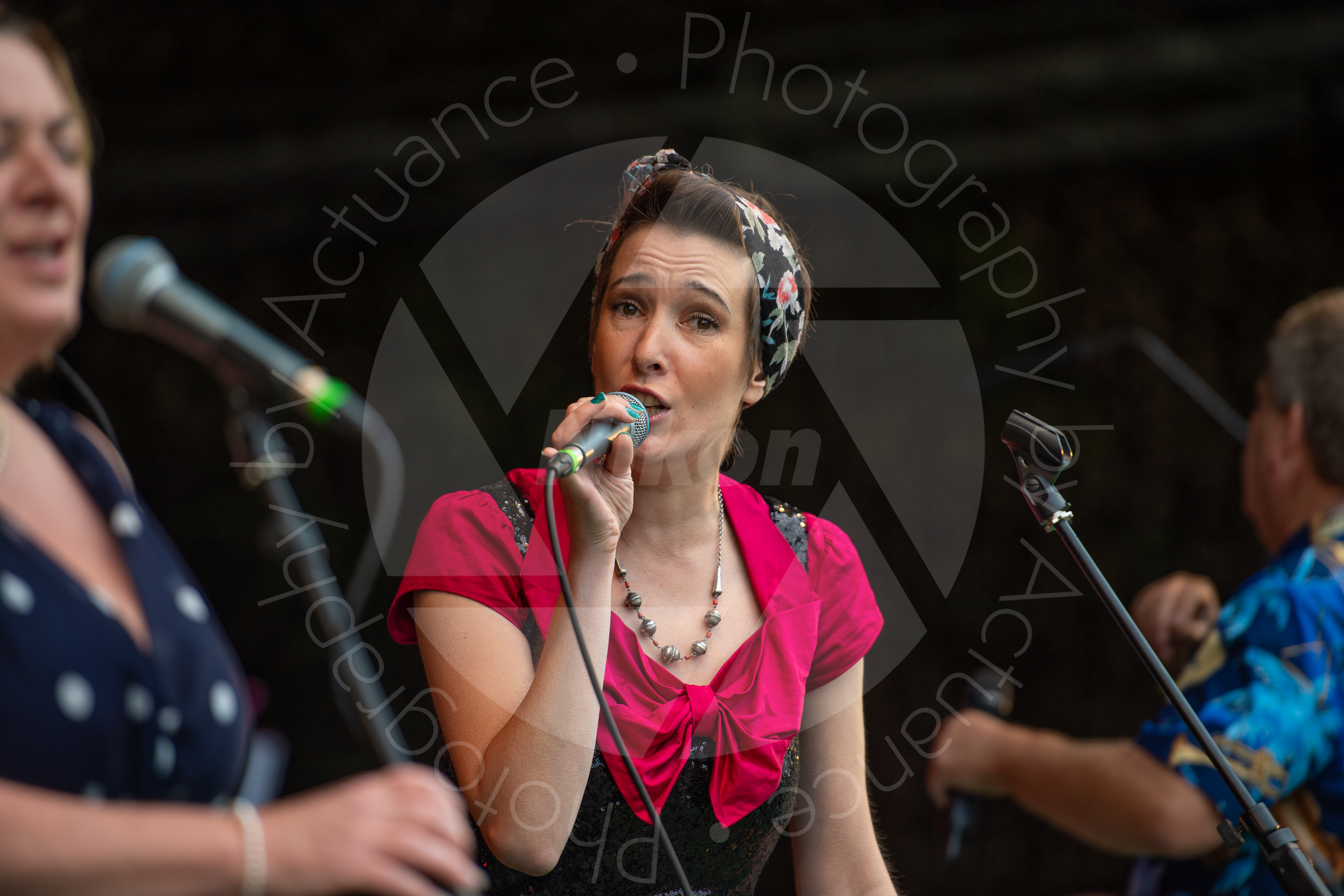 Twinwood Festival 2018 #3141