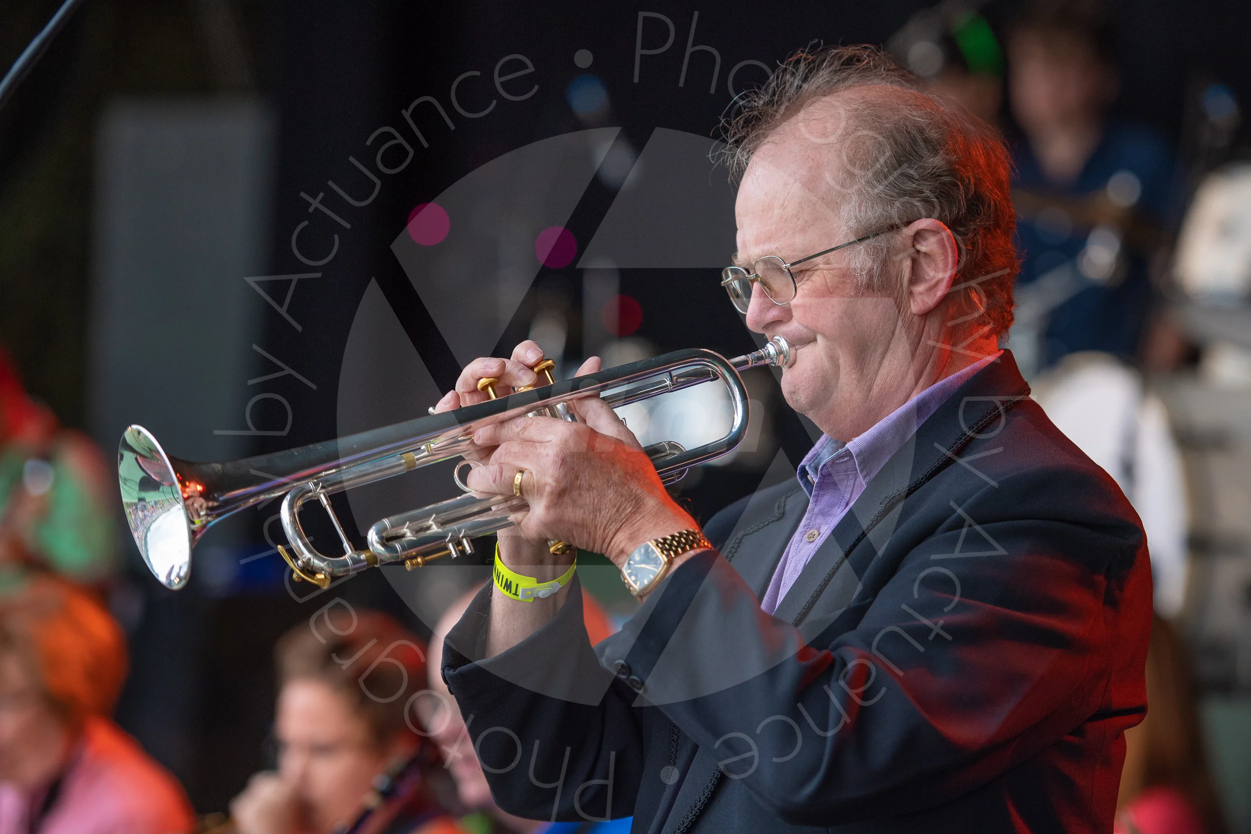 Twinwood Festival 2018 #3165