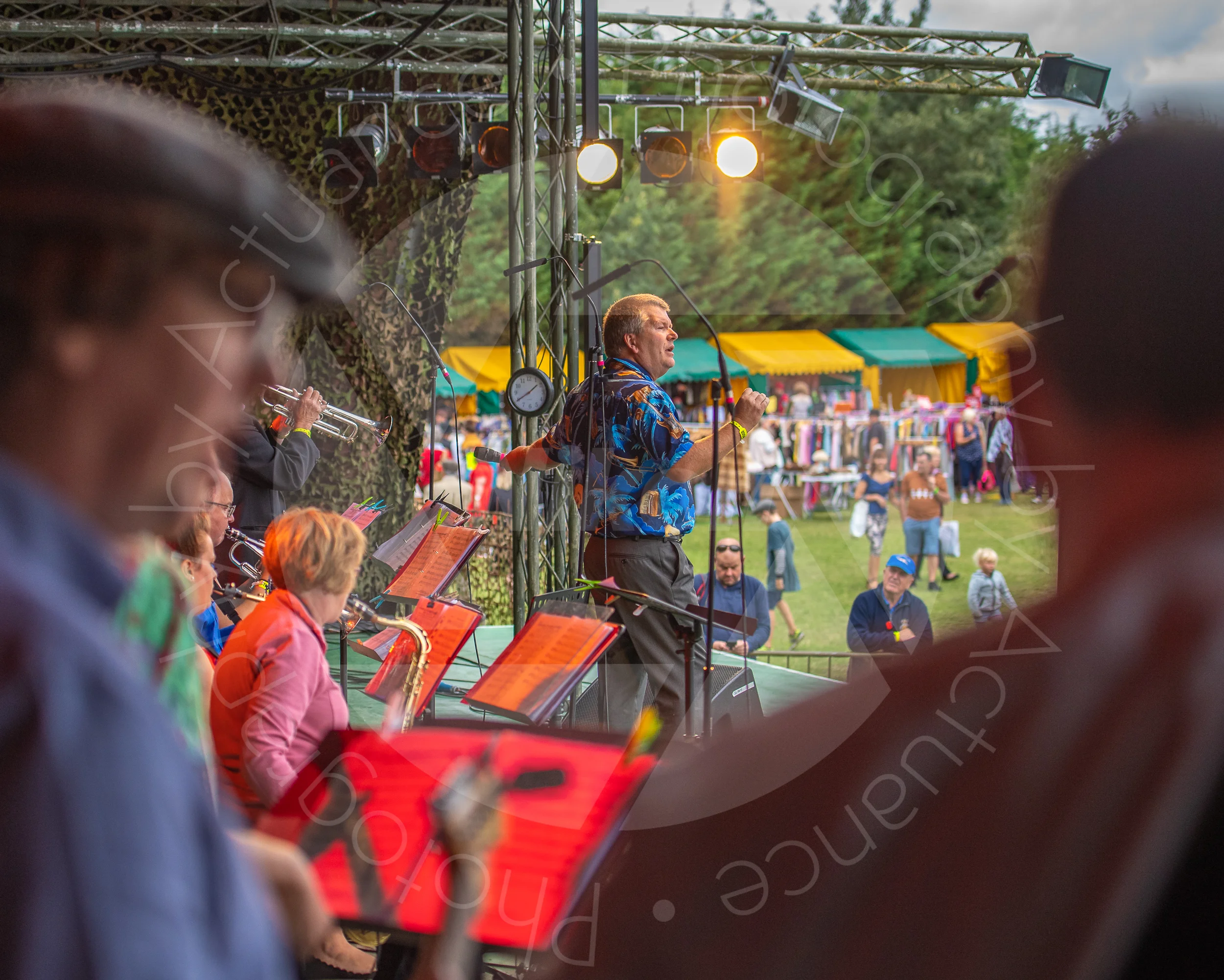 Twinwood Festival 2018 #3174
