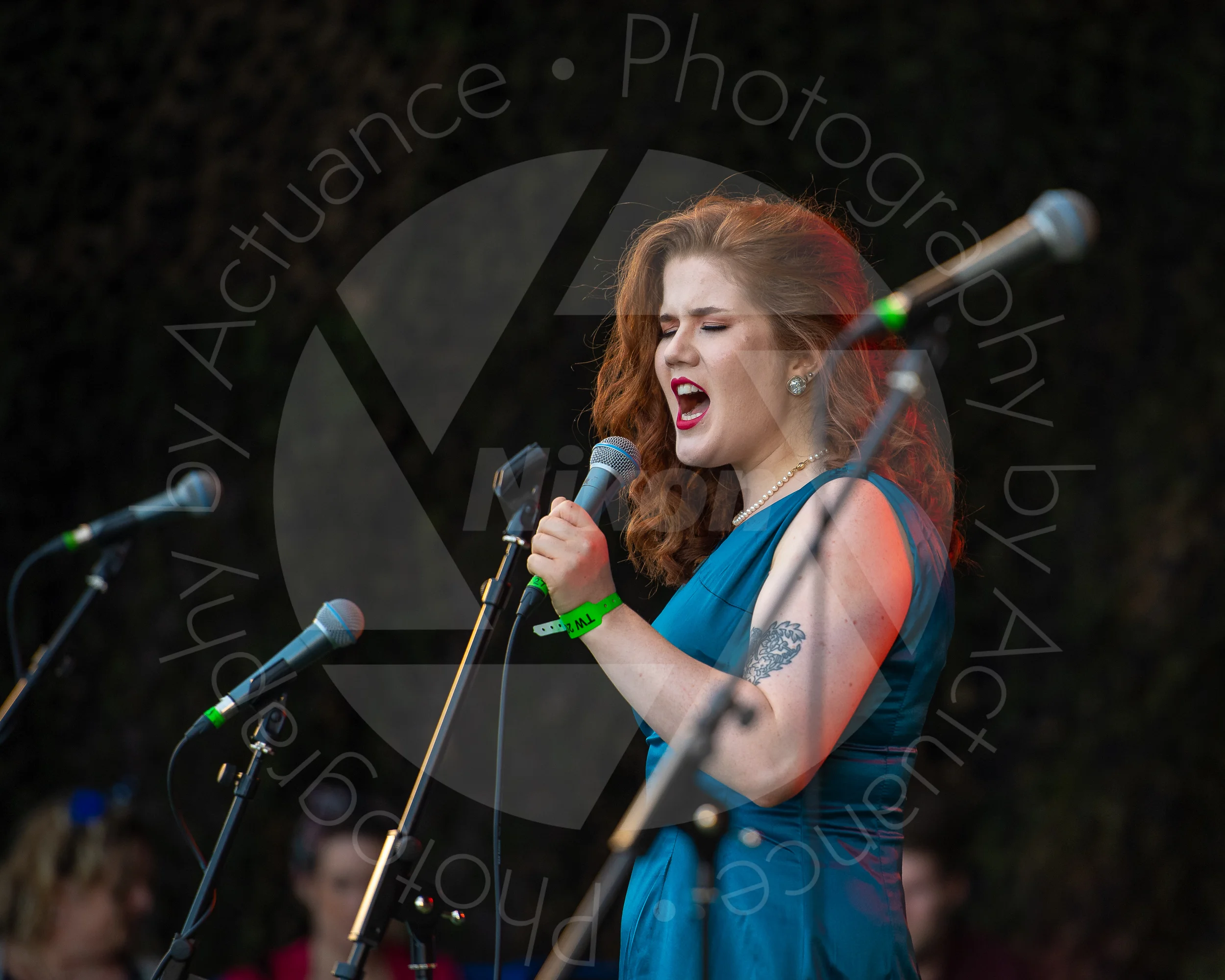 Twinwood Festival 2018 #3197