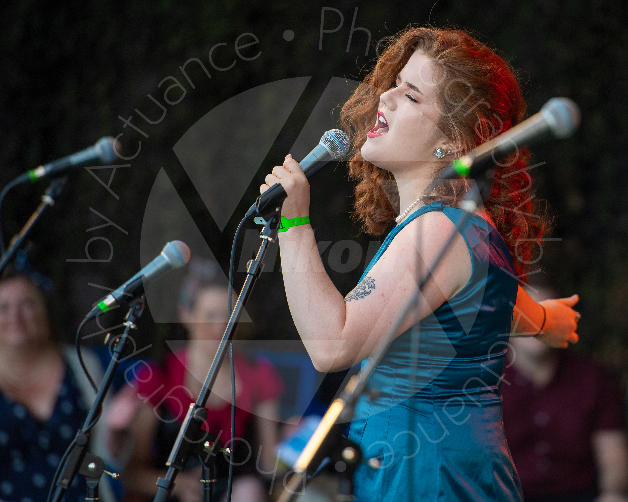 Twinwood Festival 2018 #3202