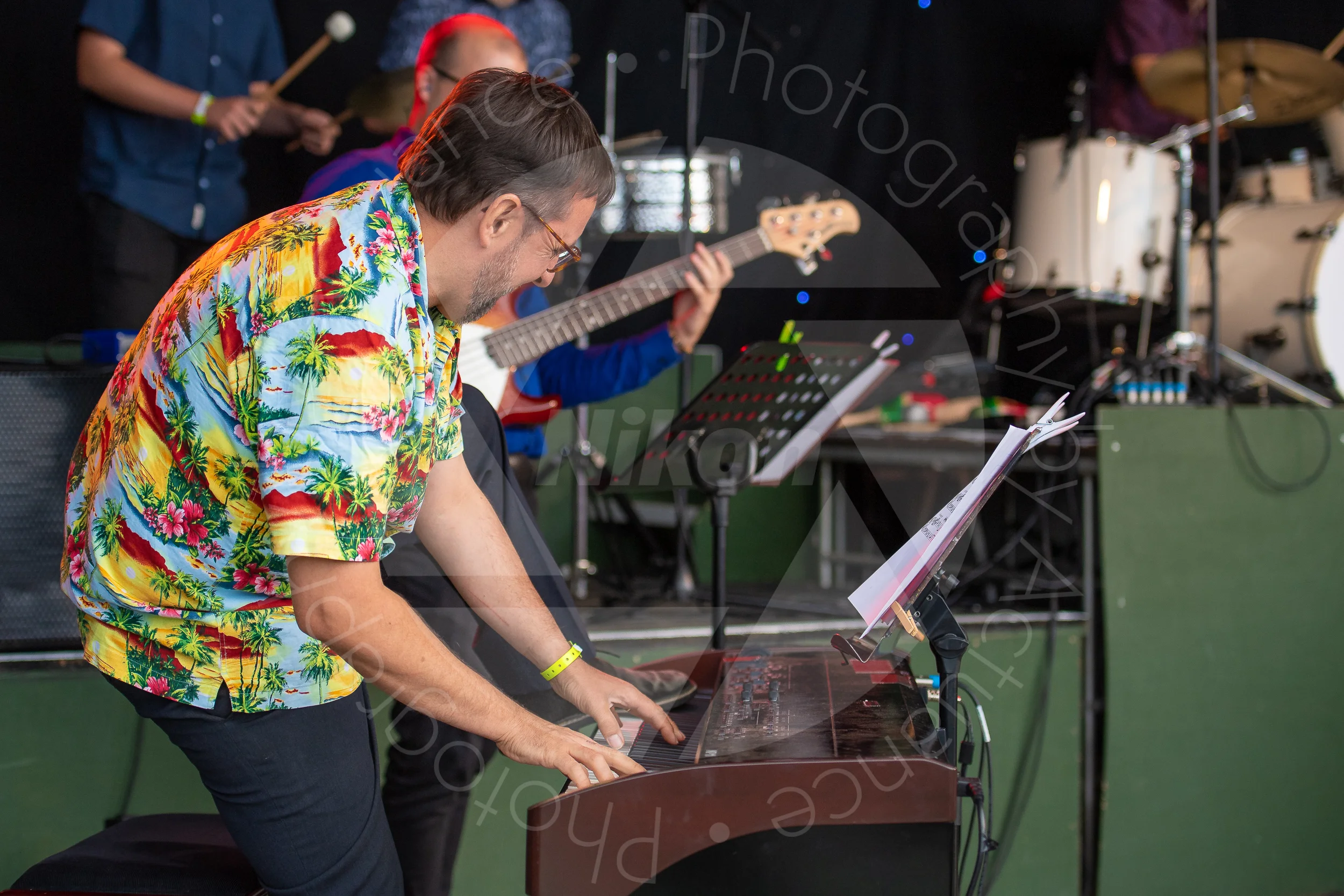Twinwood Festival 2018 #3246