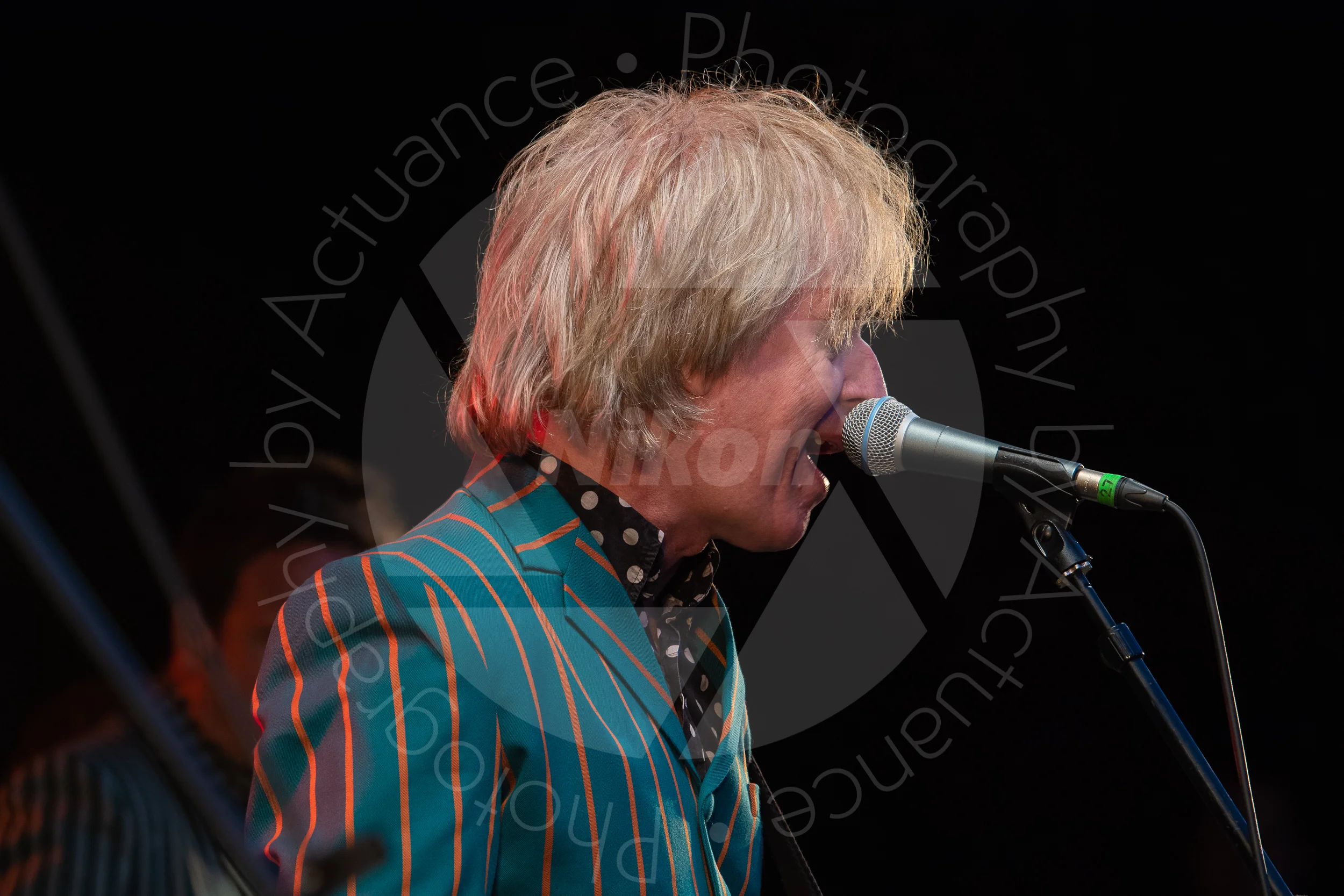 Twinwood Festival 2018 #3726
