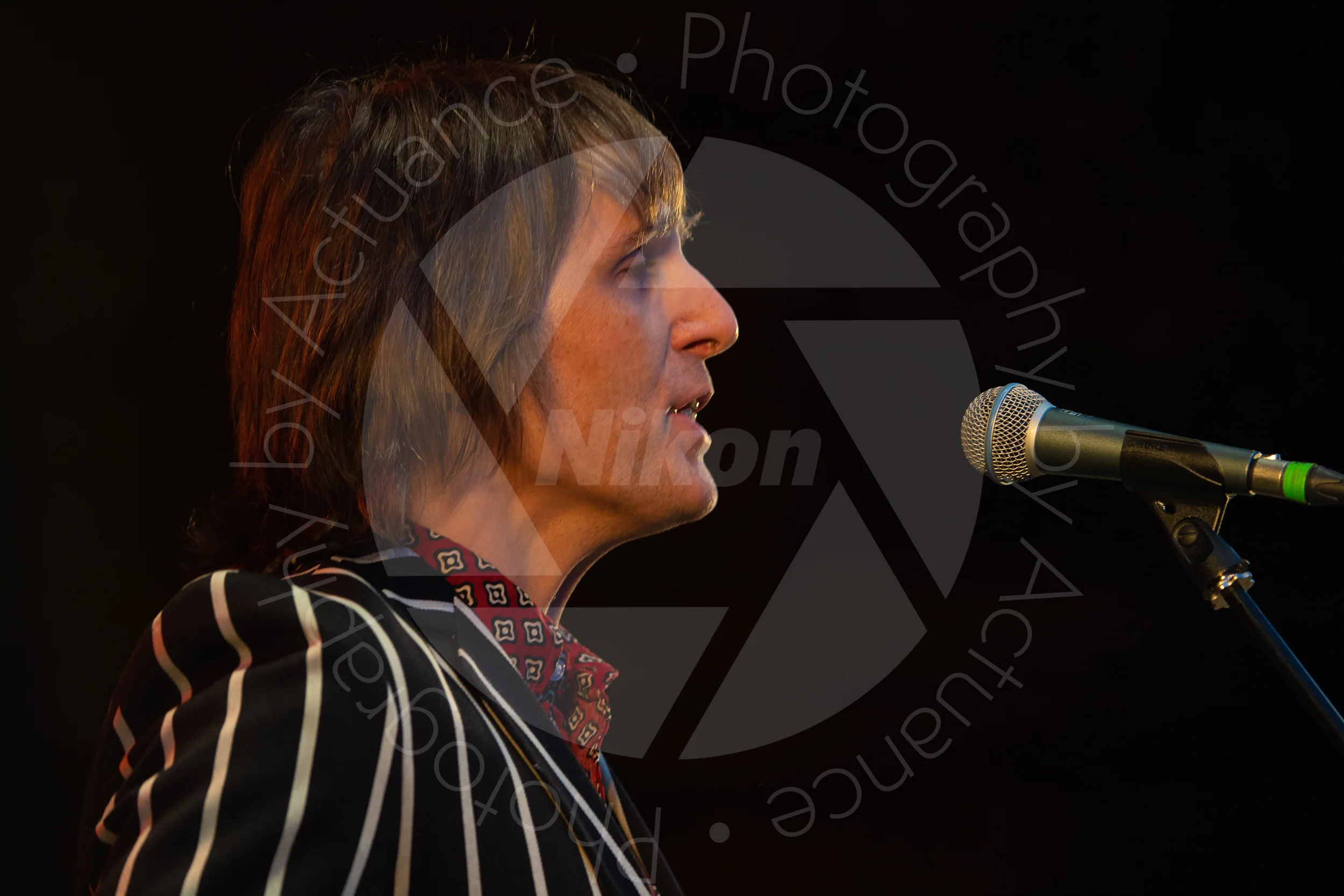 Twinwood Festival 2018 #3749