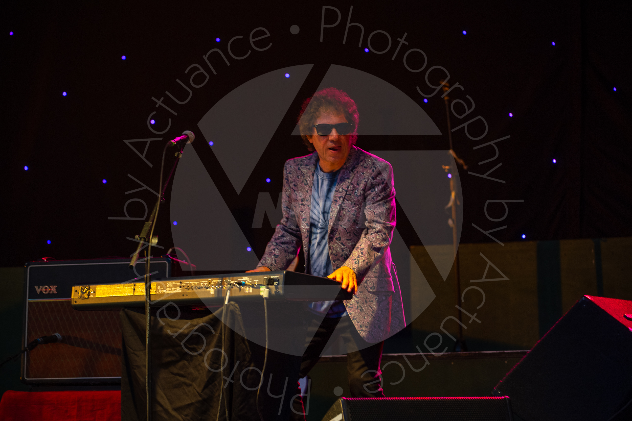 Twinwood Festival 2018 #3773