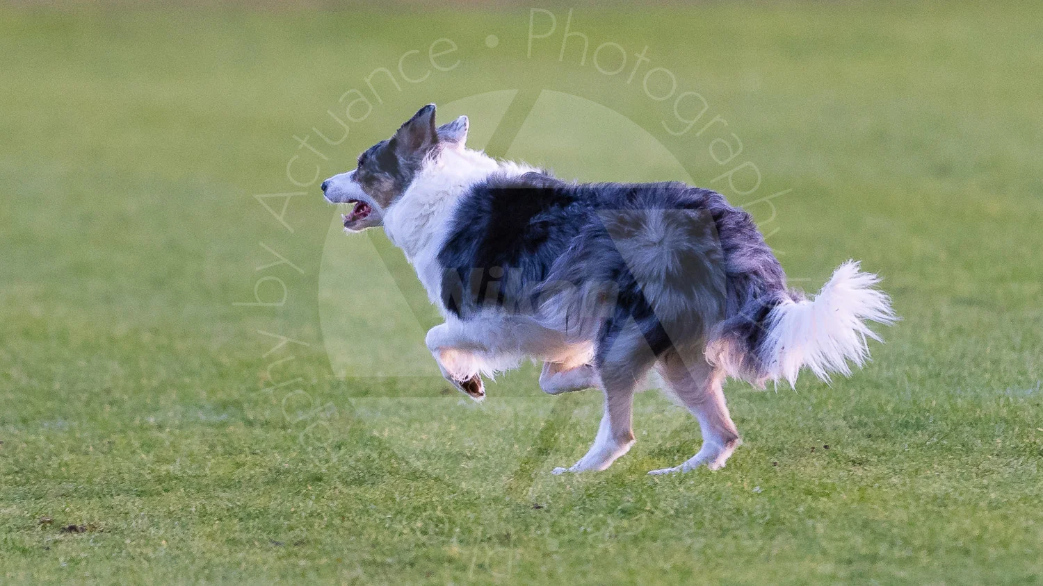 20181103 Amp 1st XV vs Rotherham #3914
