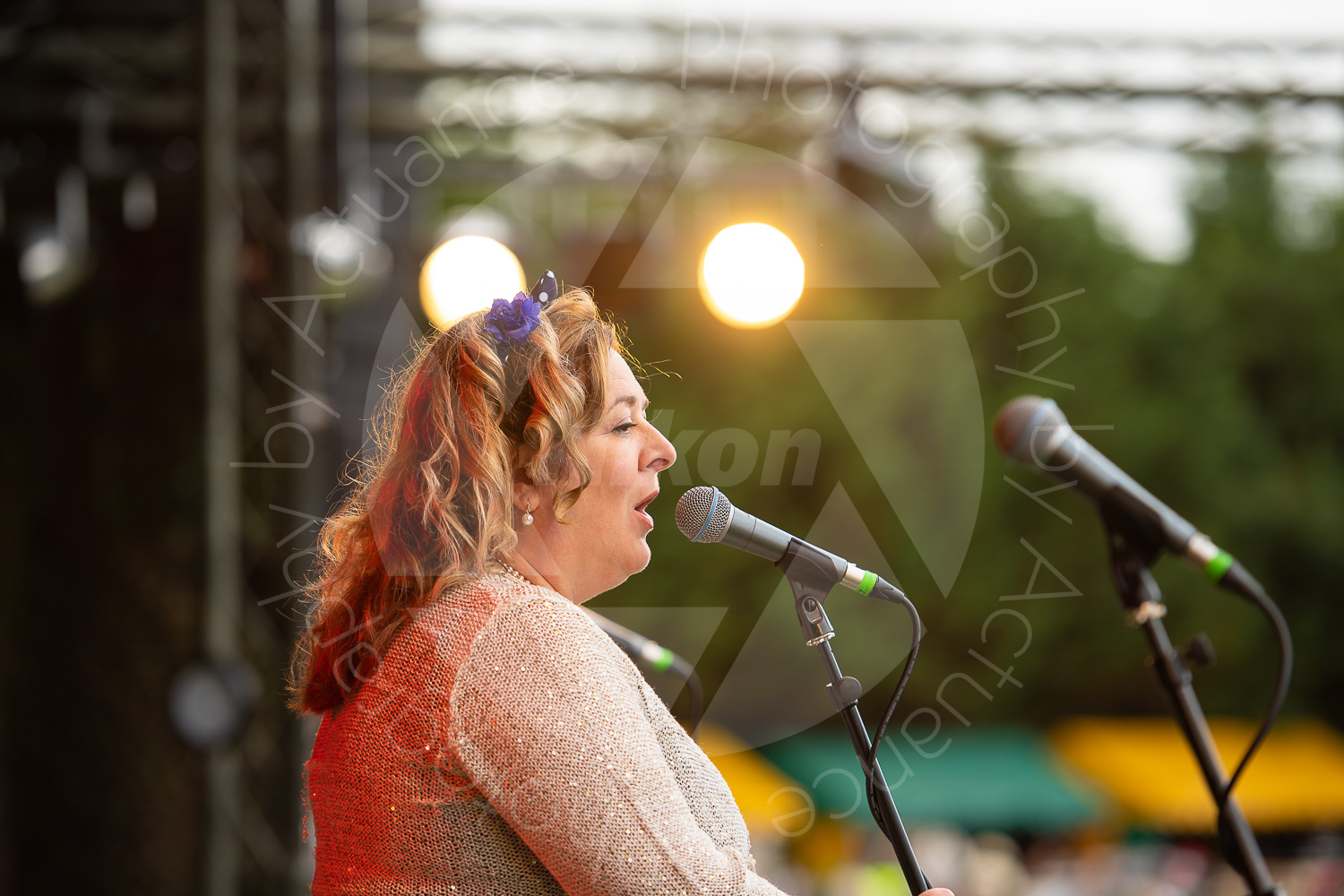Twinwood Festival 2018 #2966