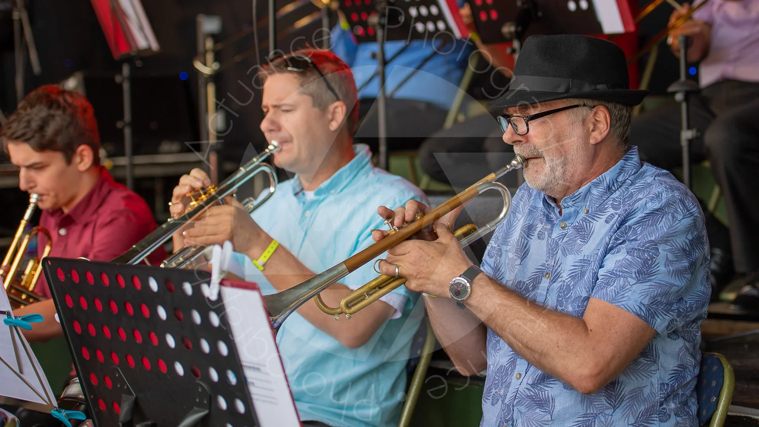 Twinwood Festival 2018 #2980