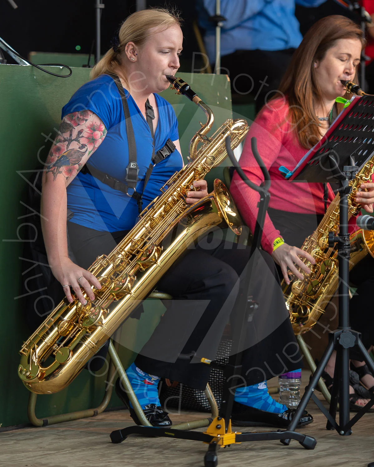 Twinwood Festival 2018 #3038