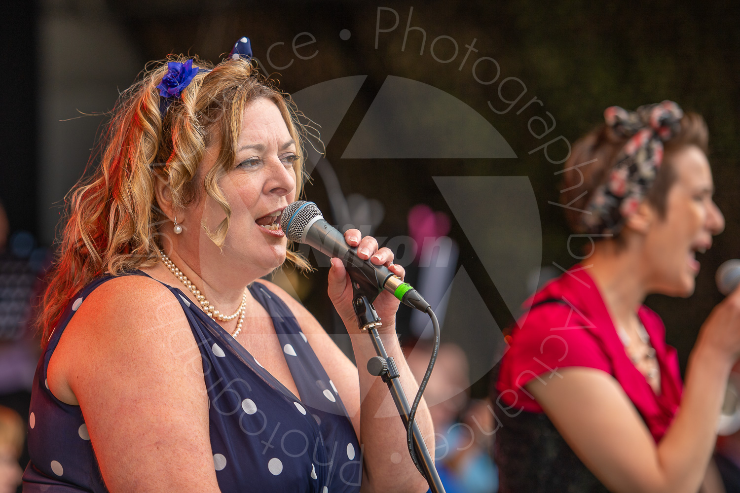 Twinwood Festival 2018 #3061