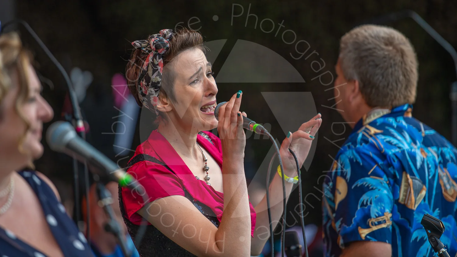 Twinwood Festival 2018 #3069