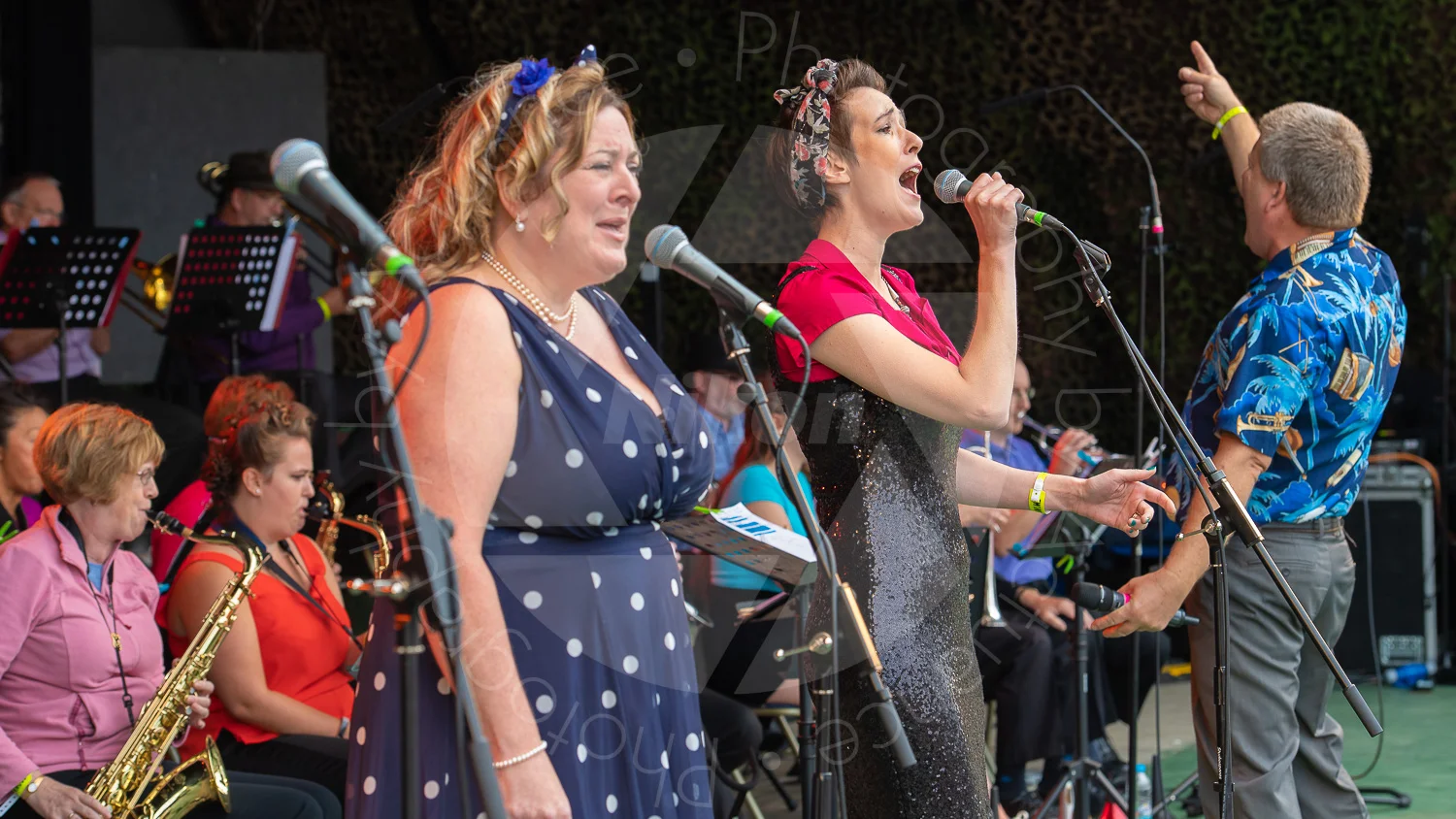 Twinwood Festival 2018 #3130
