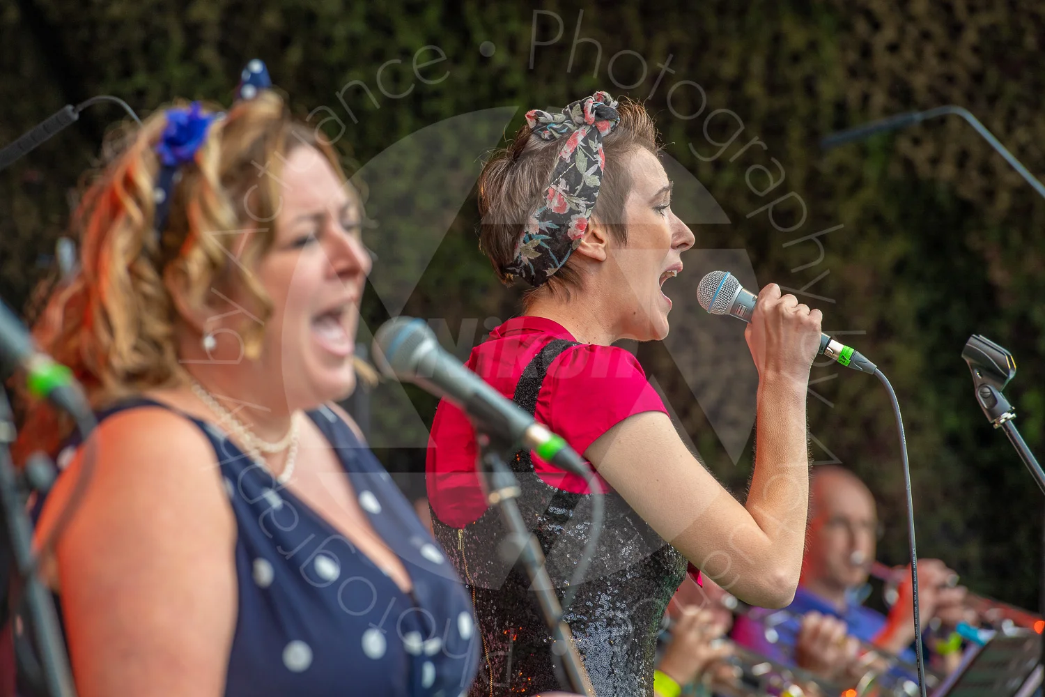 Twinwood Festival 2018 #3133