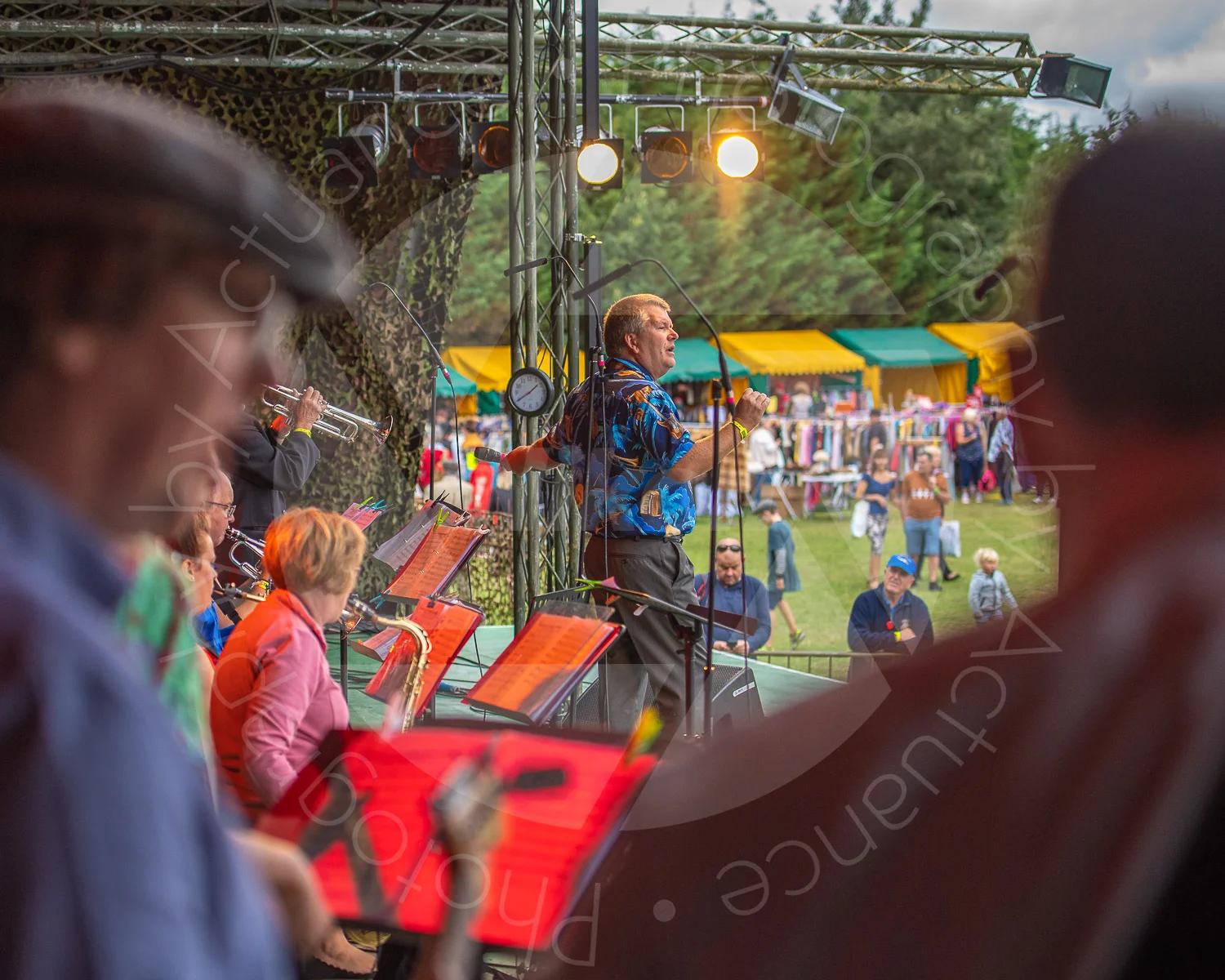 Twinwood Festival 2018 #3174