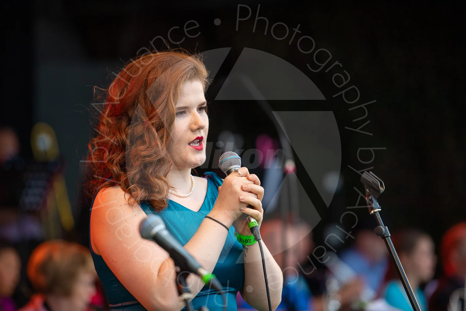 Twinwood Festival 2018 #3181