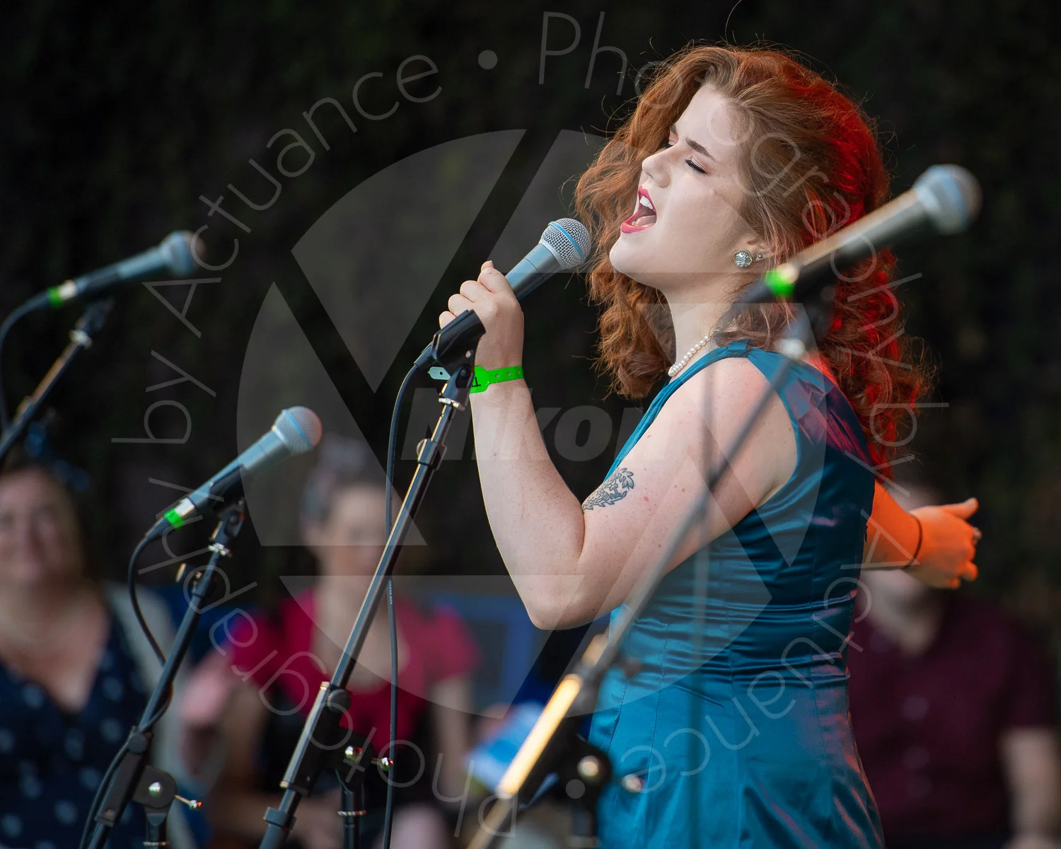 Twinwood Festival 2018 #3202