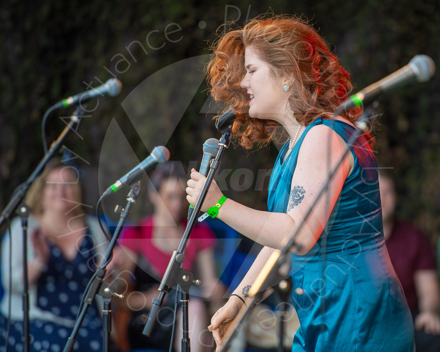 Twinwood Festival 2018 #3204