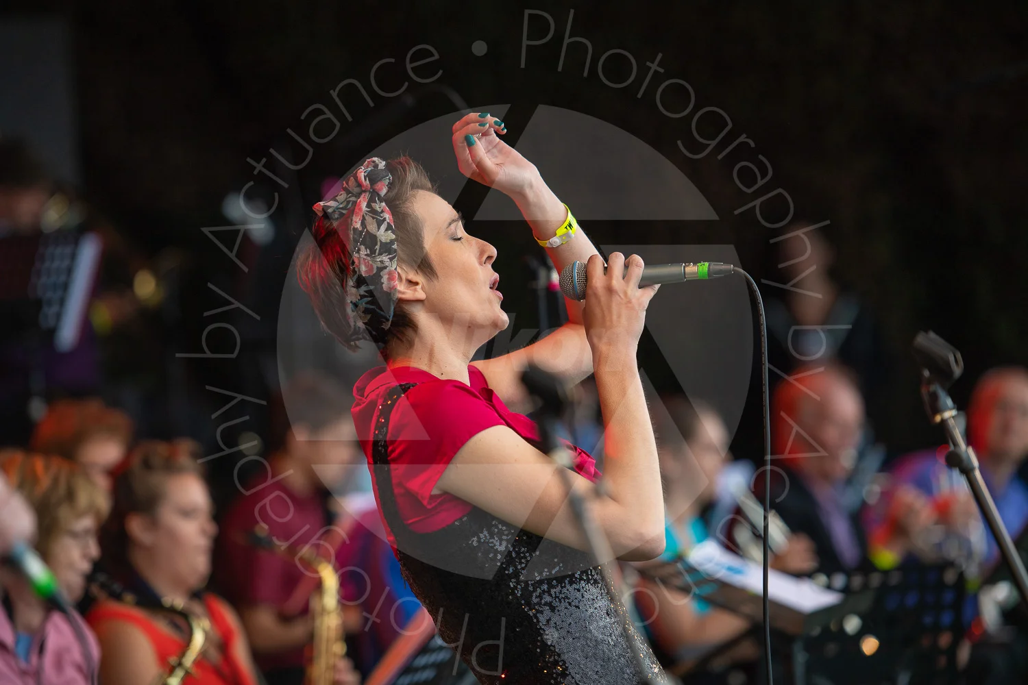 Twinwood Festival 2018 #3227