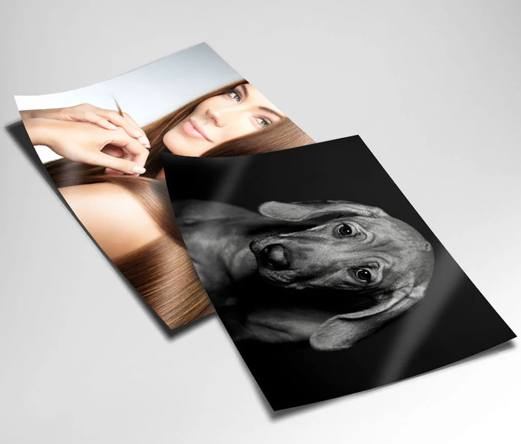 holding image - print.jpg