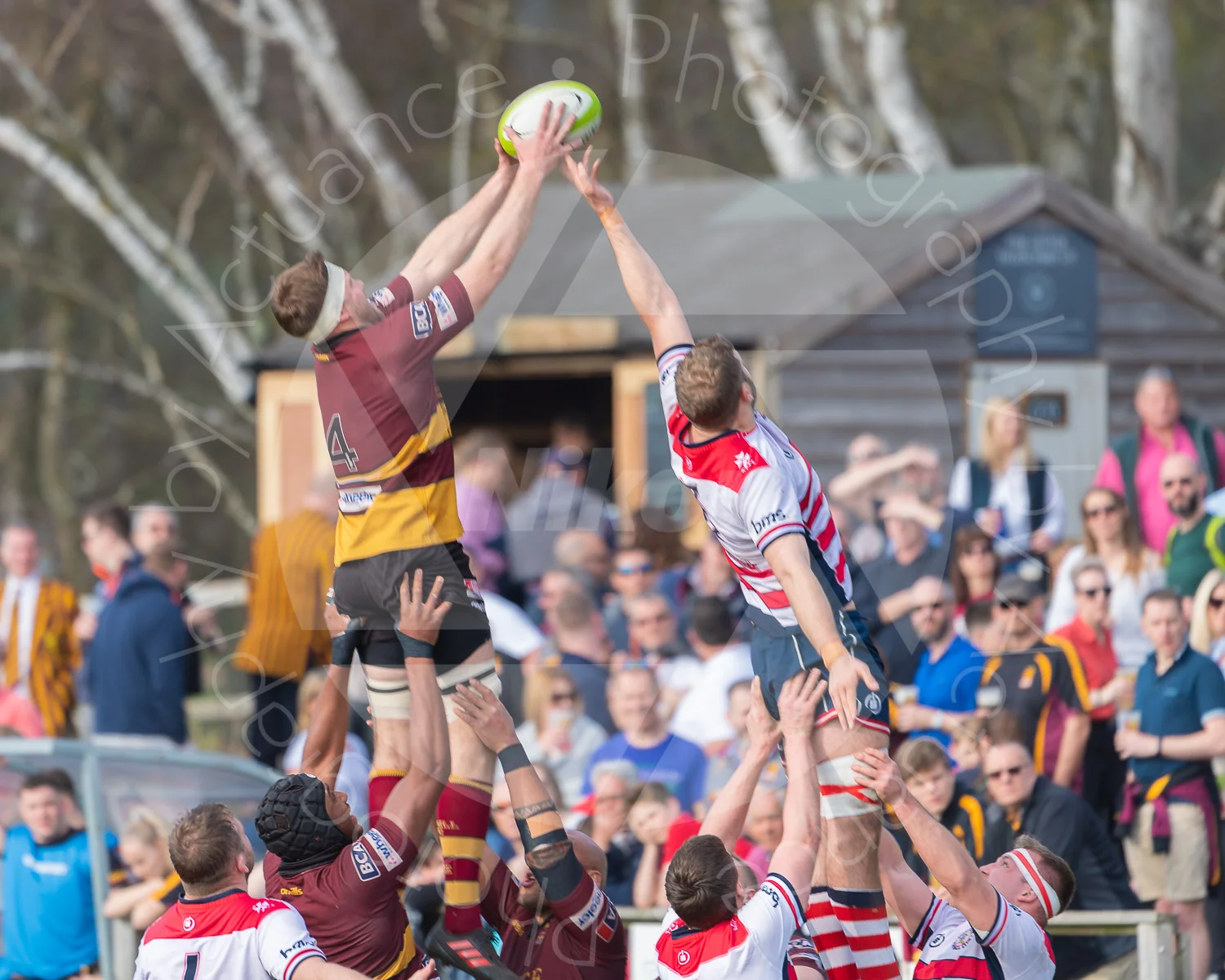 20190330 Amp 1st XV vs Rossyln Park #3802