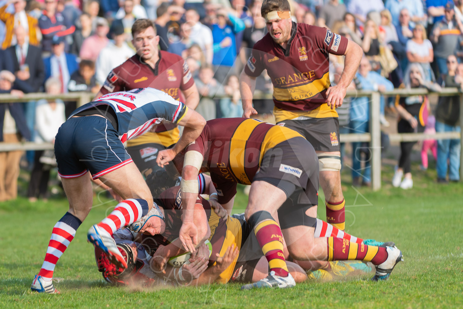 20190330 Amp 1st XV vs Rossyln Park #4059