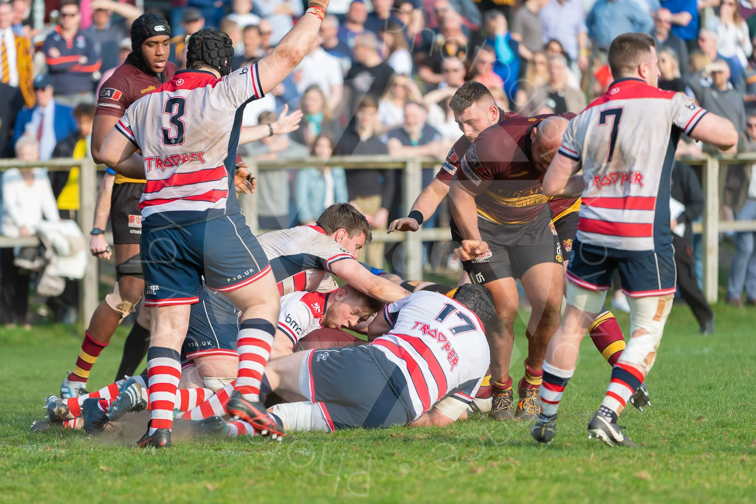 20190330 Amp 1st XV vs Rossyln Park #4079