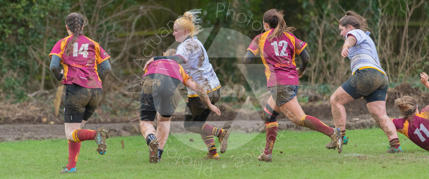  Towcester vs Ampthill Ladies #8144