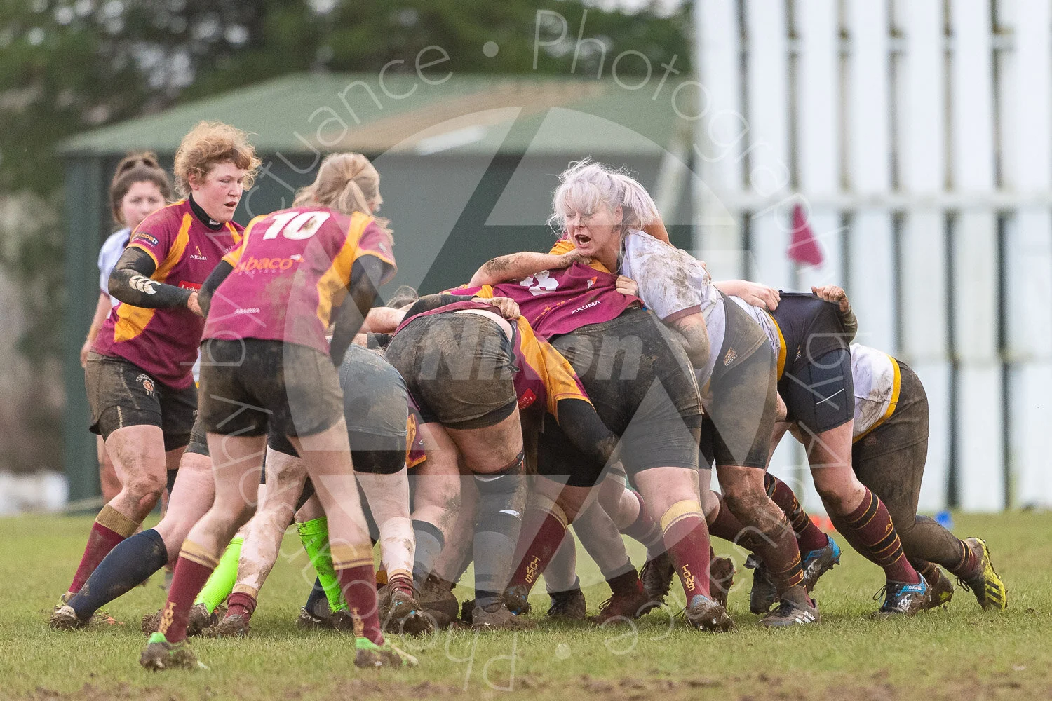  Towcester vs Ampthill Ladies #8317