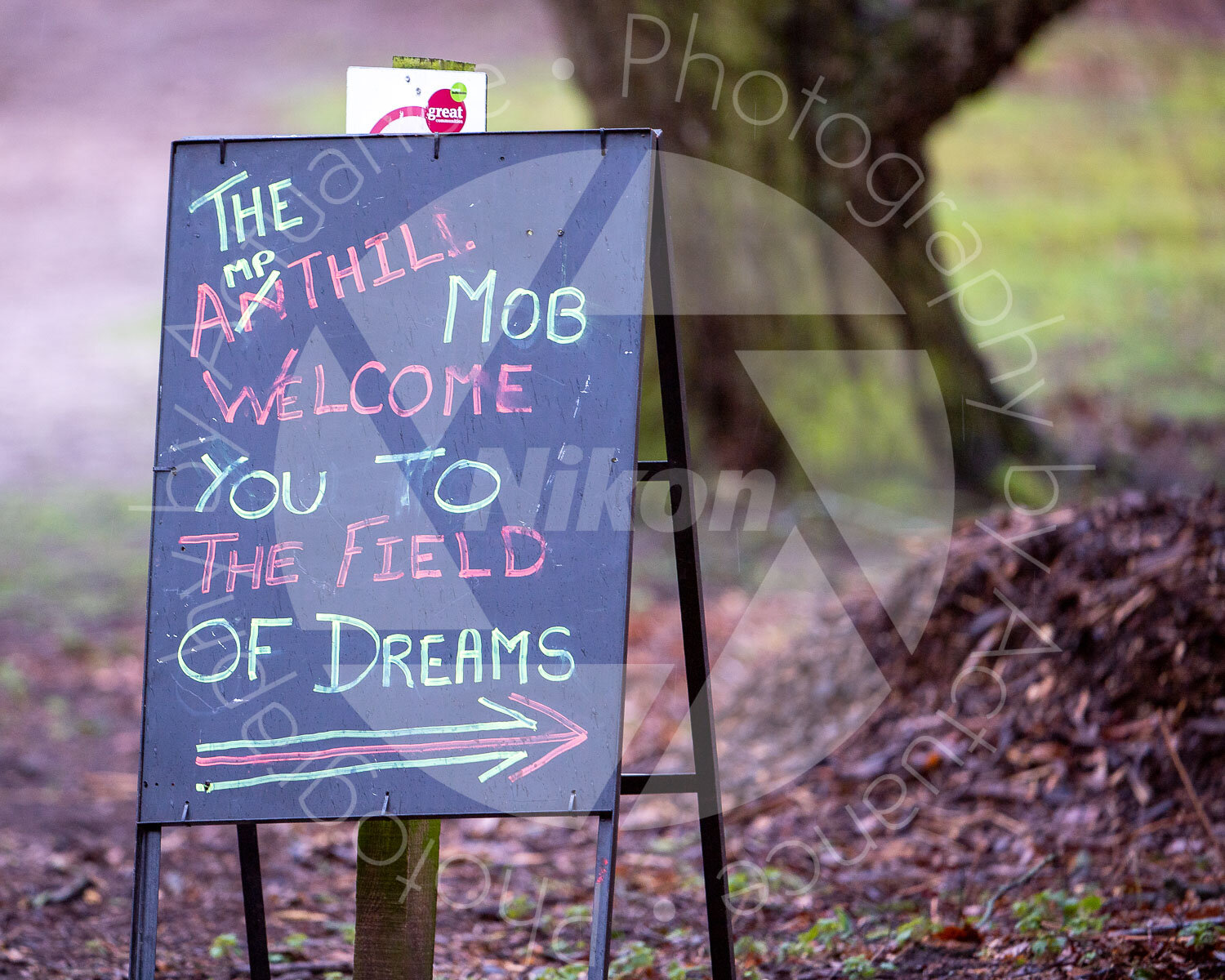 20200215 Ampthill vs London Scottish #8737