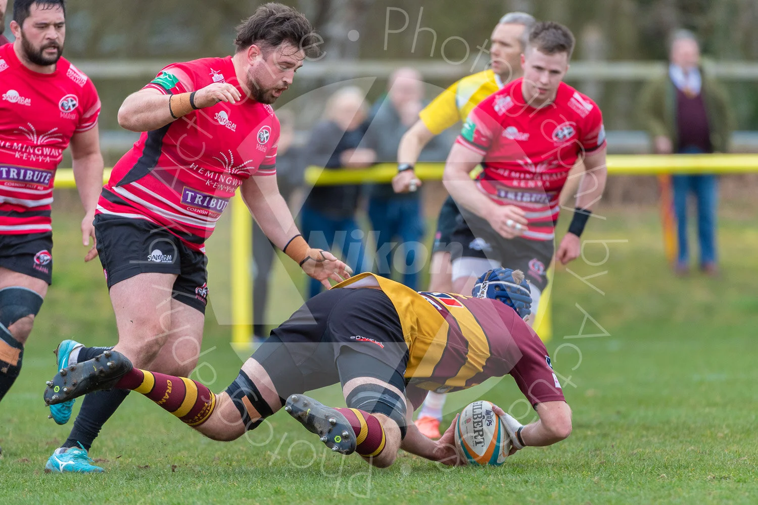20200314 Ampthill vs Cornish Pirates #1580