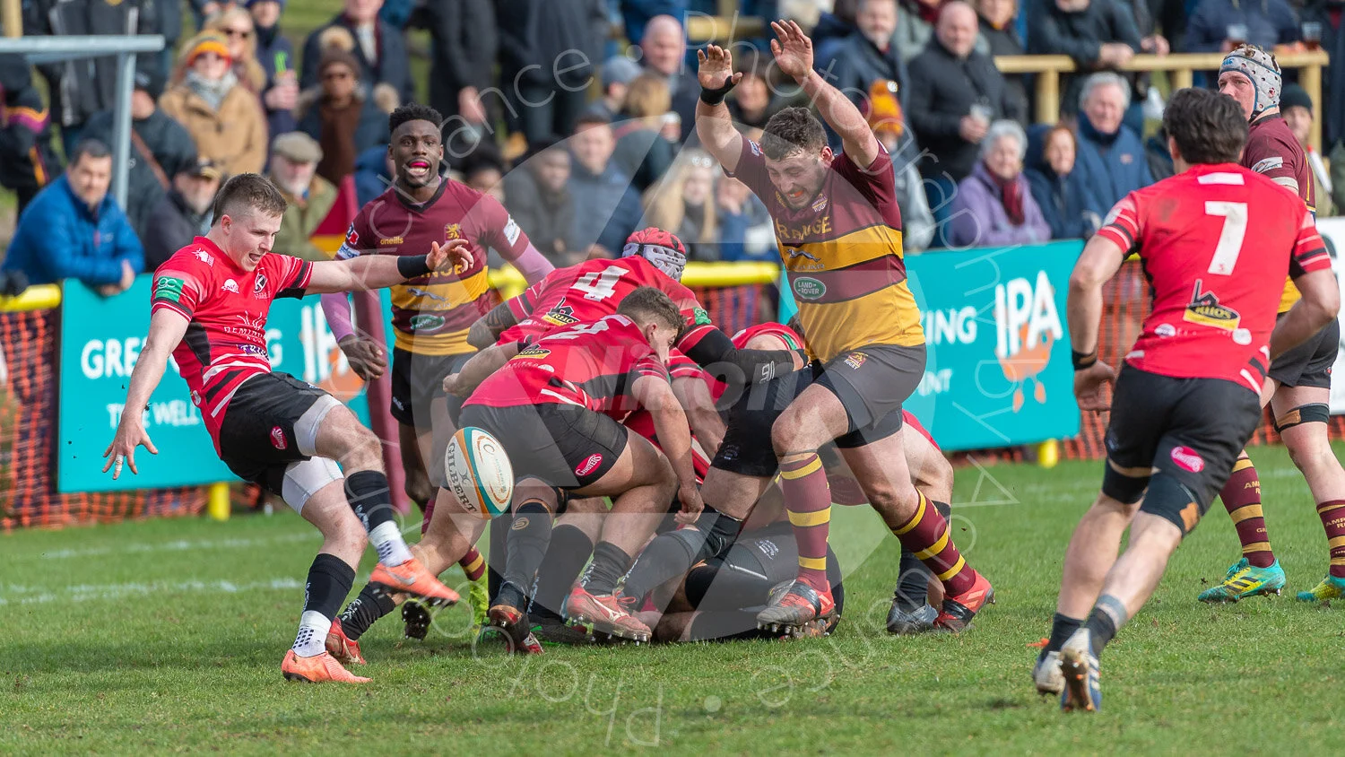 20200314 Ampthill vs Cornish Pirates #1980