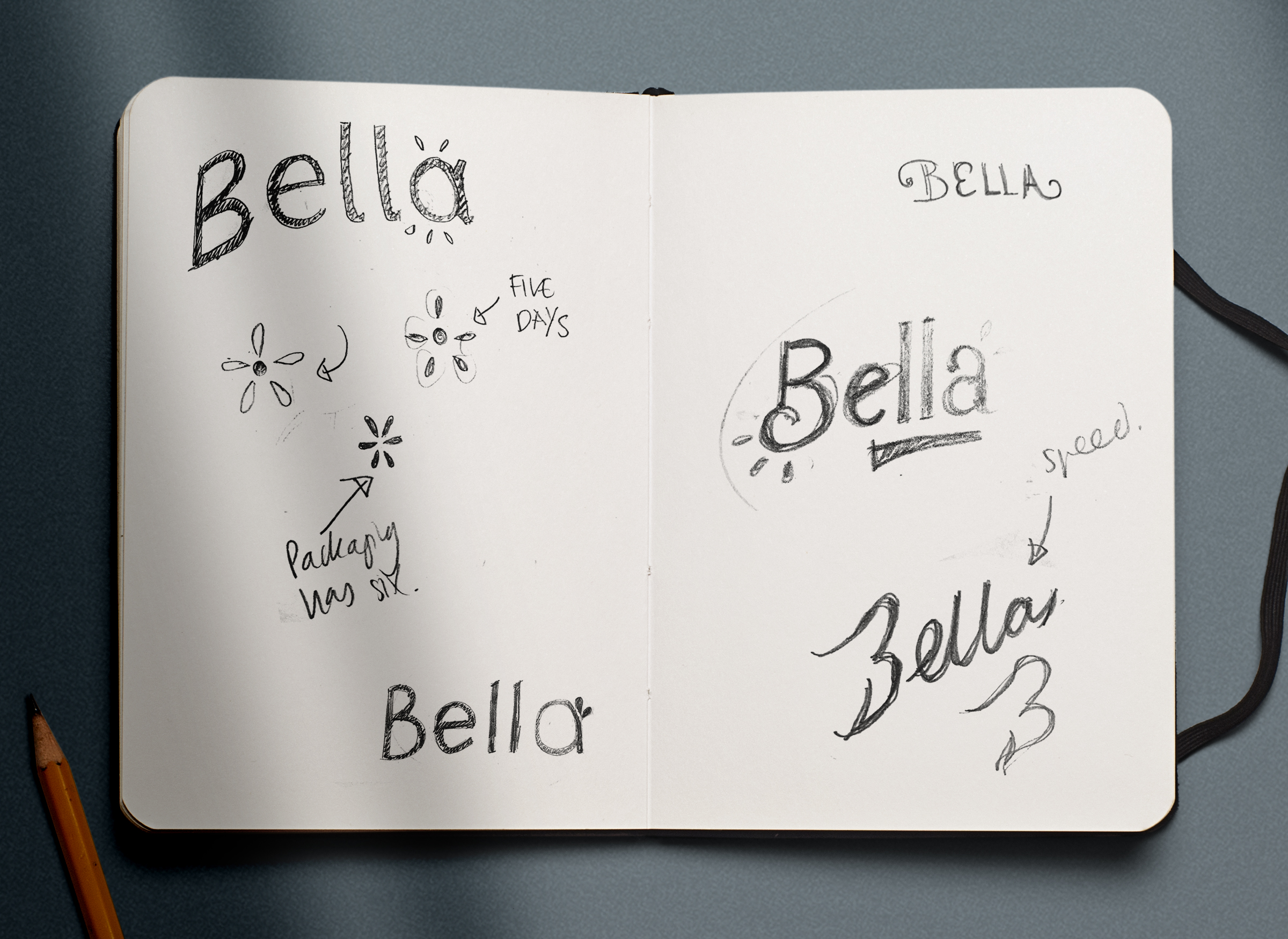Above: My initial sketches for ‘Bella’, a new name and new service for the five day contraceptive pill for women.