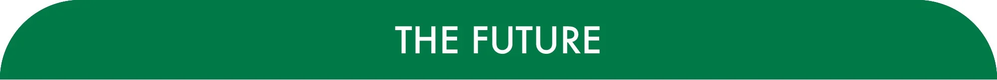 the future.jpg