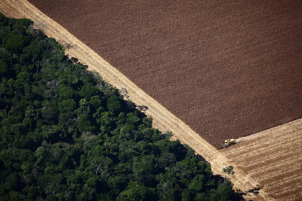 Soy farming next to the Amazon Rainforest
