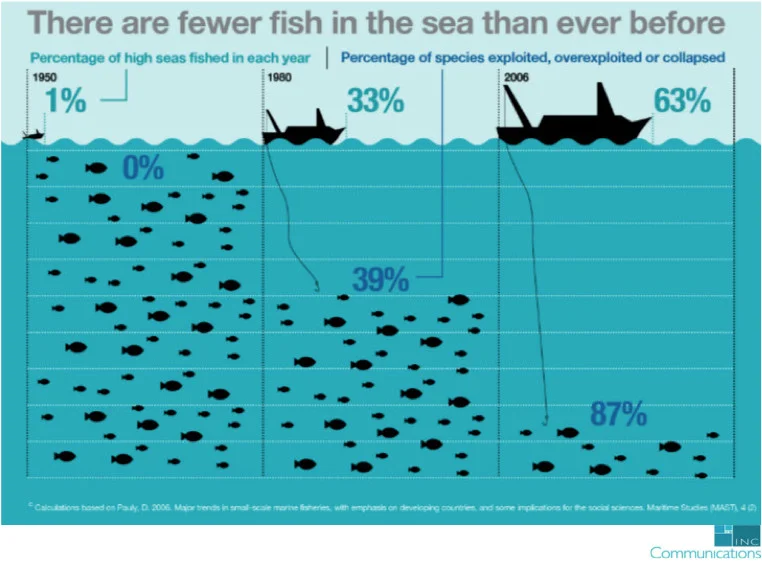 Fishing-by-the-numbers.jpg