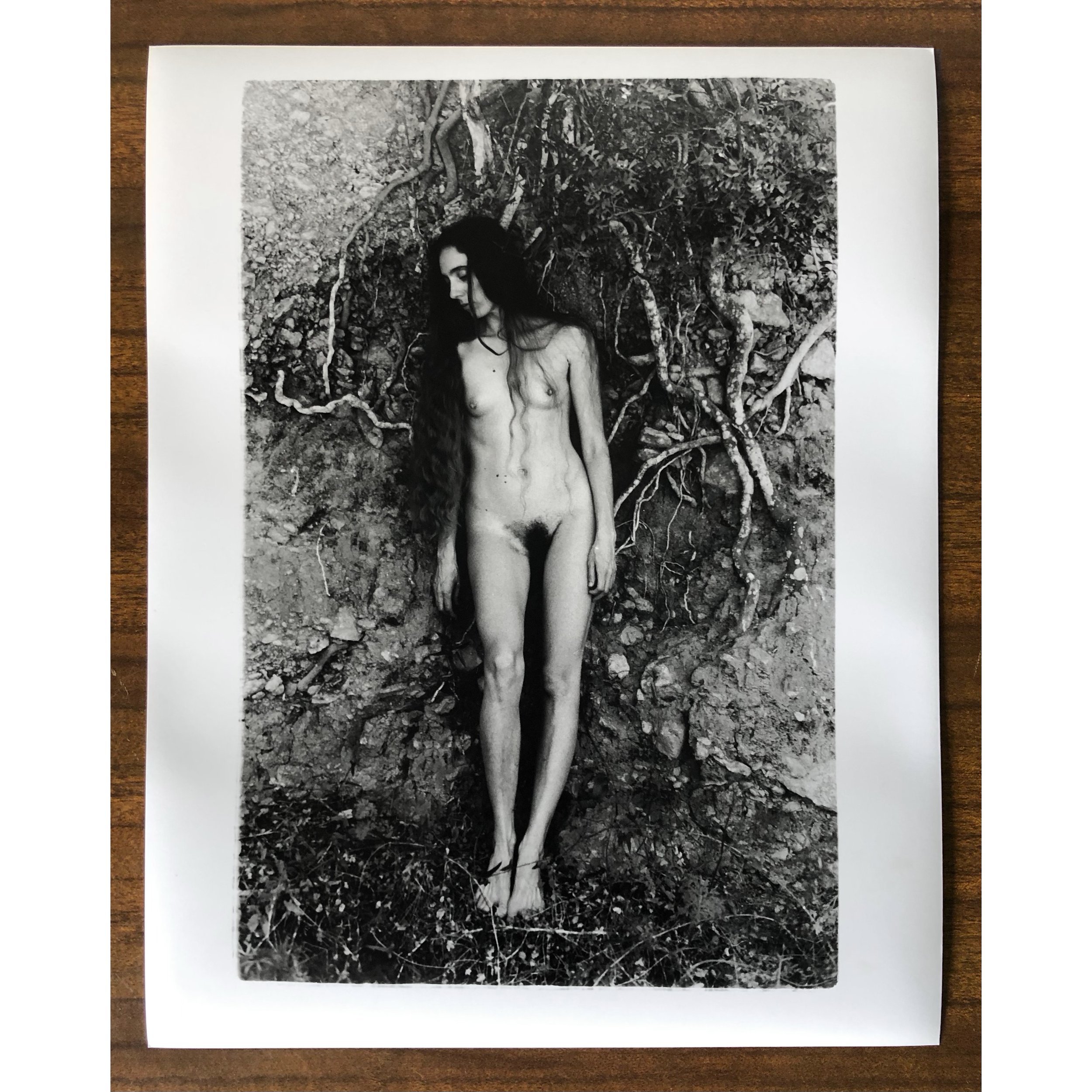 'Roots' Limited Edition Archival Darkroom Photo Print