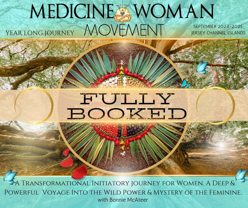 MEDICINE WOMAN MOVEMENT - A Year long Journey for Woman