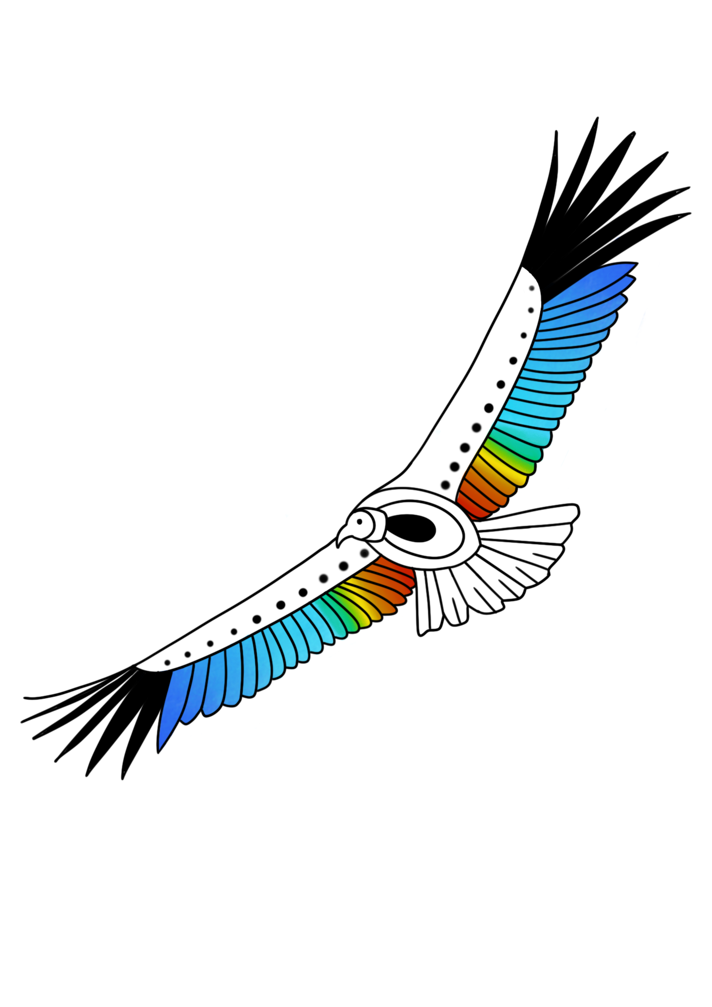 Rainbow black condor .png
