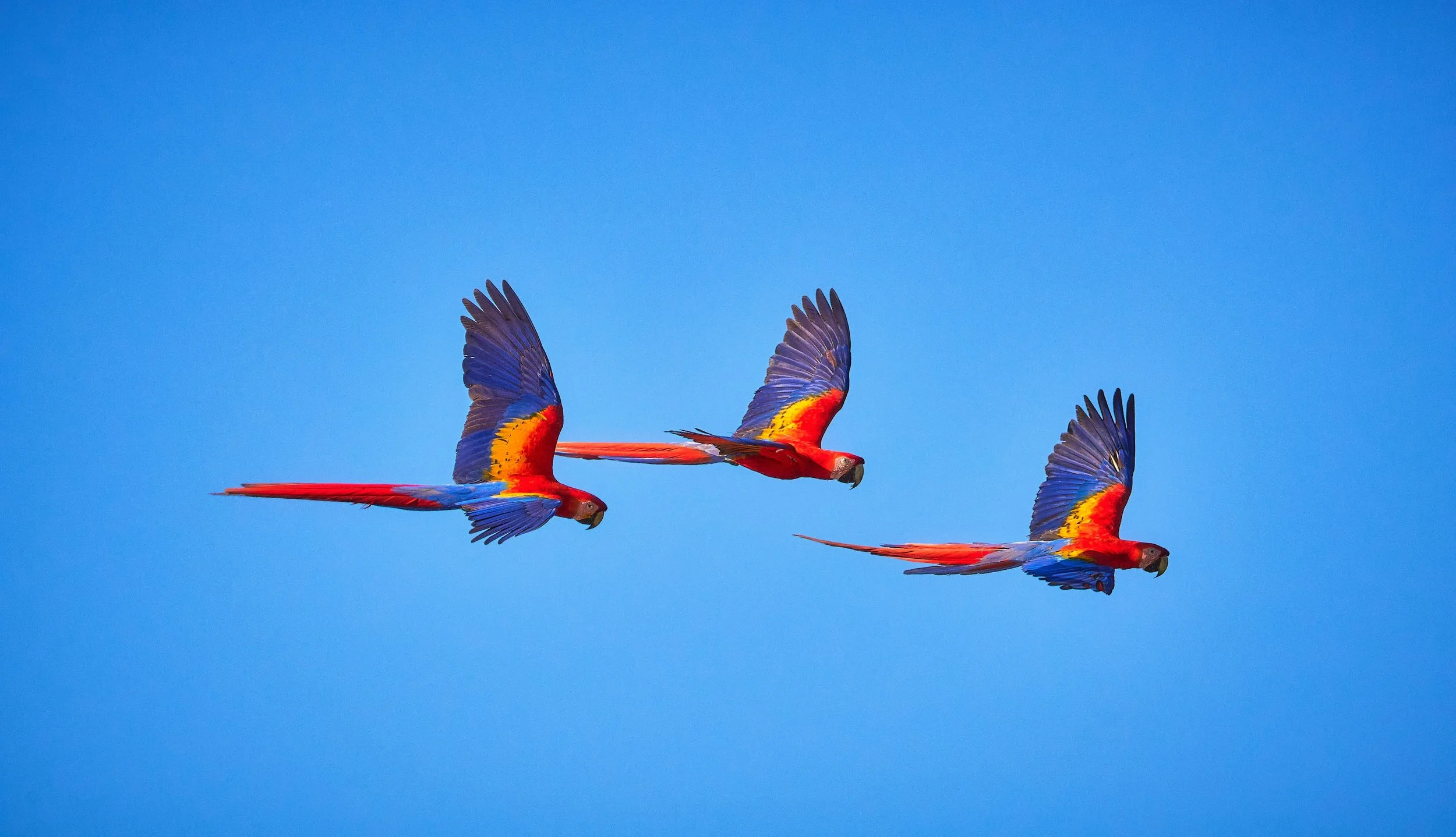 iStock-1783693603.jpg