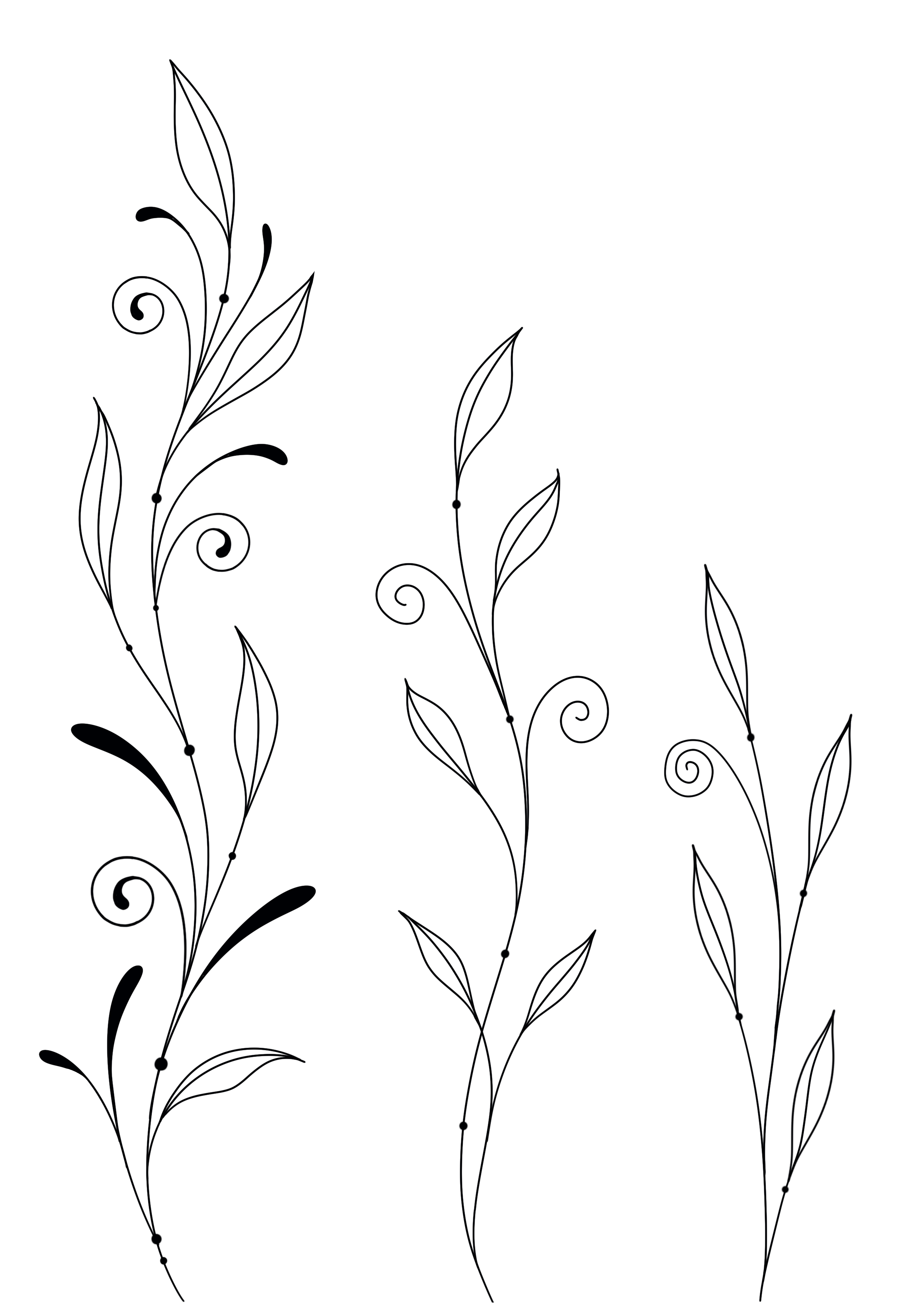 Vines Black.png