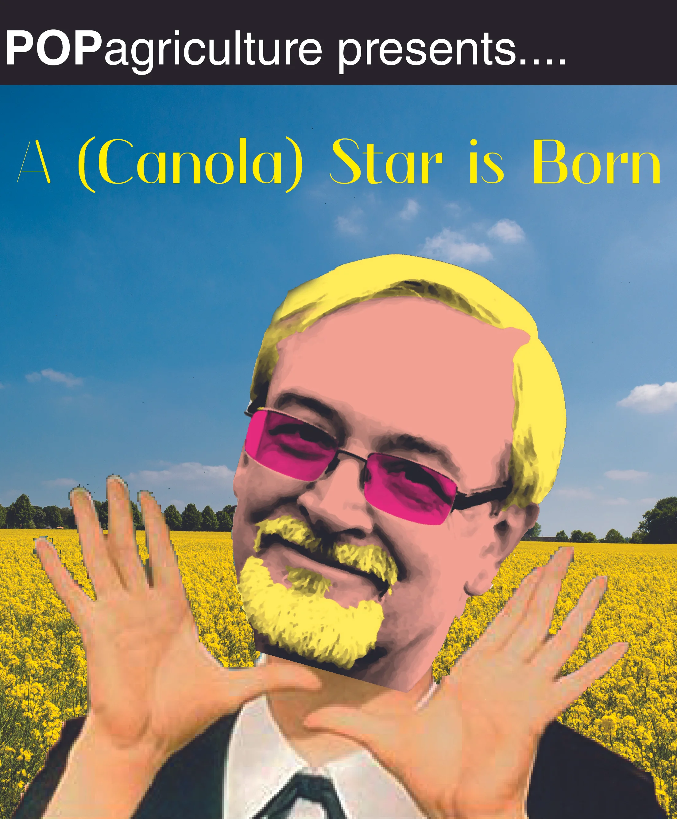 Star is Born.jpg